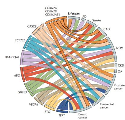 DNA variants for genes 