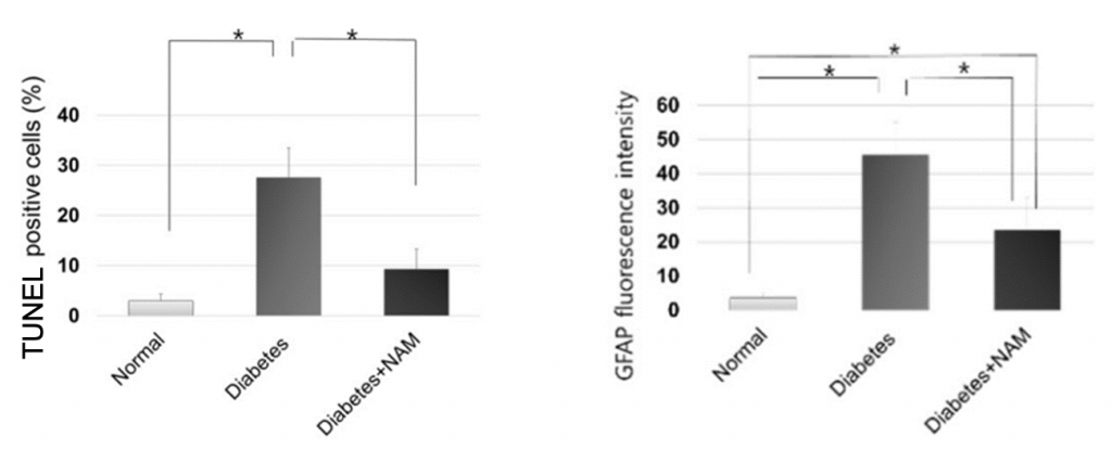 nicotinamide decreases retina cells