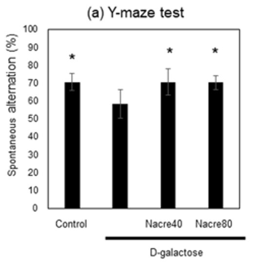 Nacre extract improves spatial learning