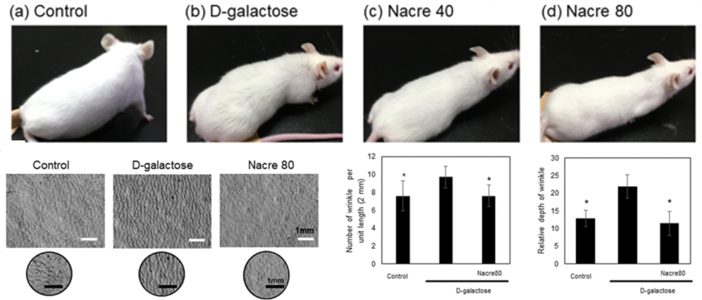 Nacre extract improves hair