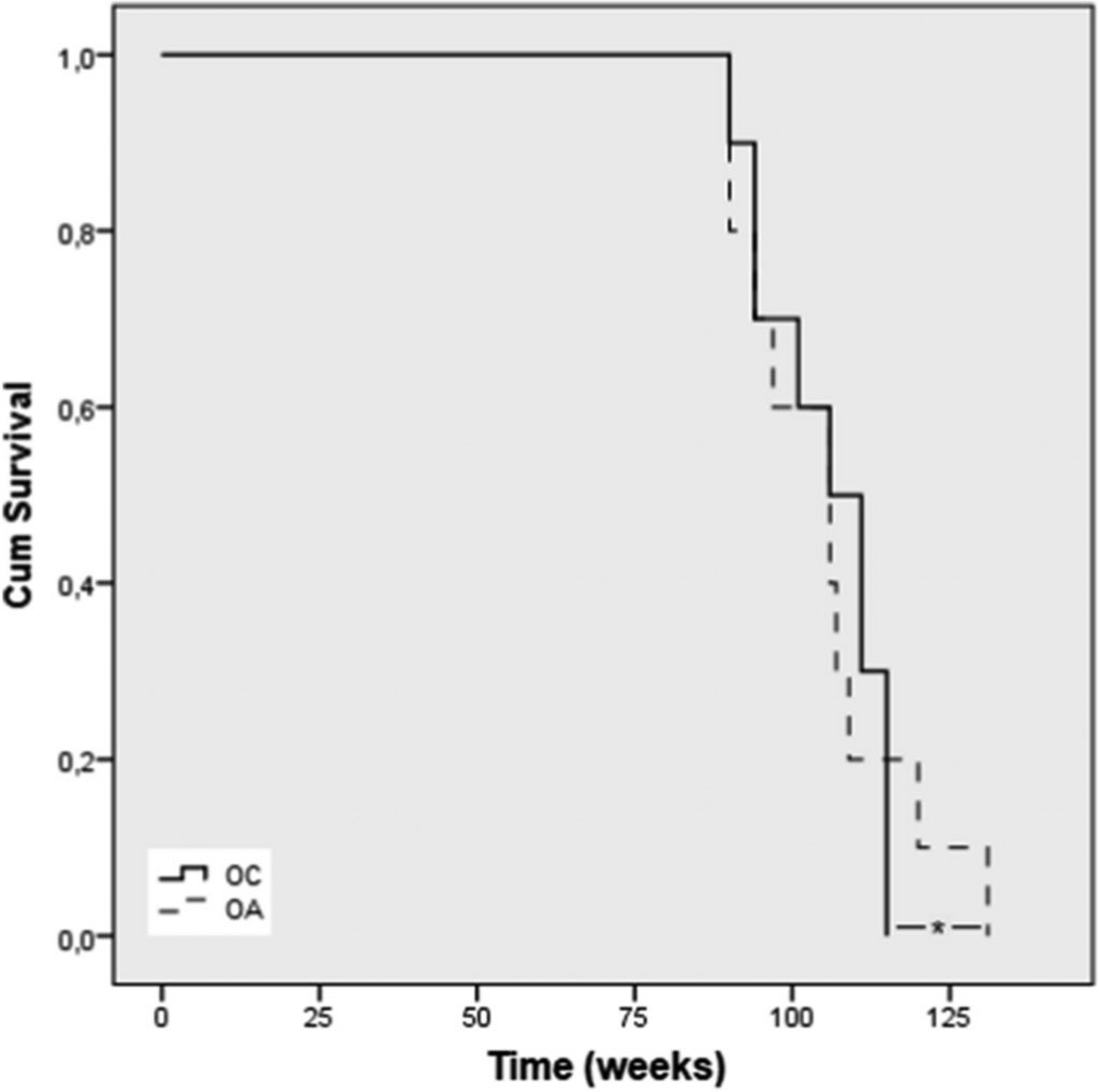 probiotic increases survival of old mice