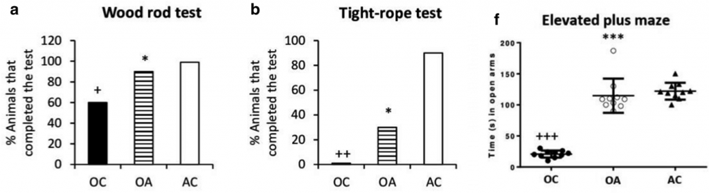 probiotic increases lifespan of mice