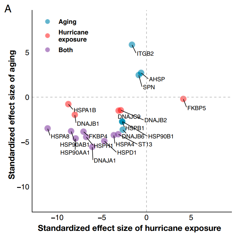 A Natural Disaster Made Monkeys Age Faster