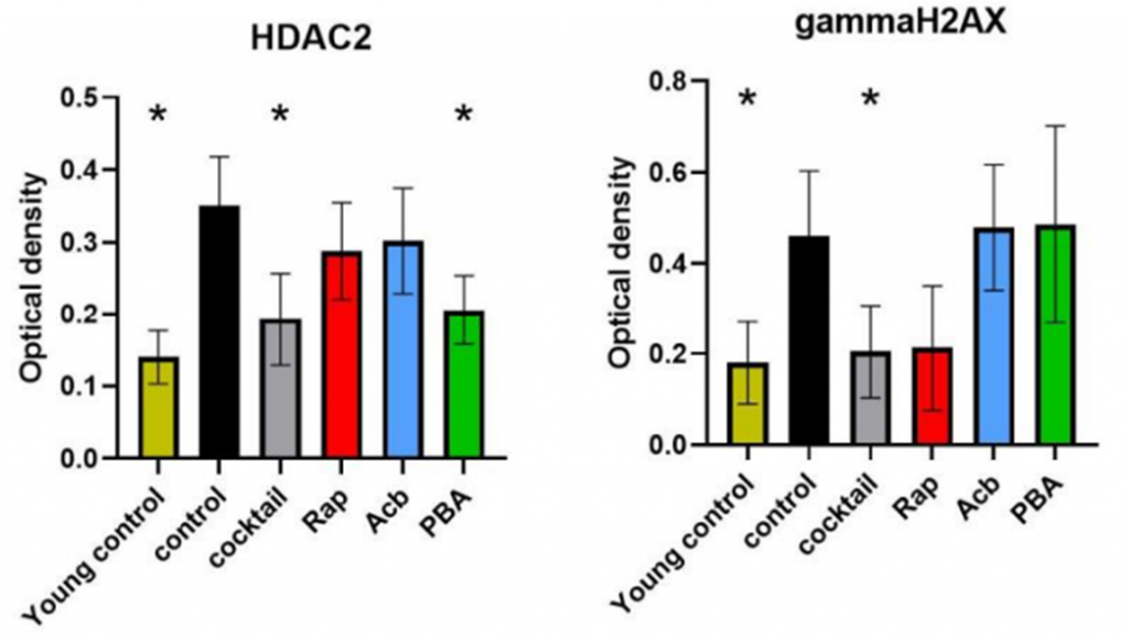 cocktail treatment reduces dna damage