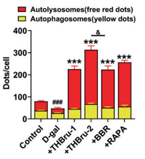 mitophagy activators