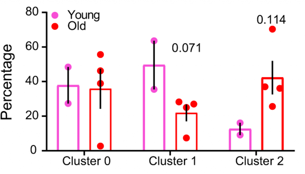 age-related increase in brain senescence