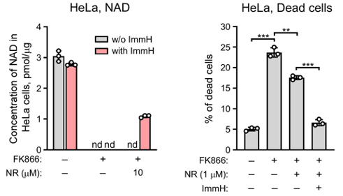 NR and ImmH raise NAD+ and reduce cell death