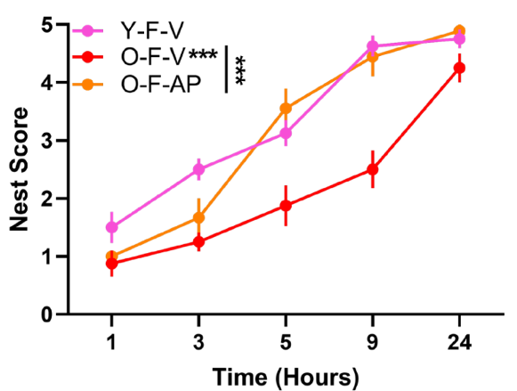 senolytic treatment improves executive function