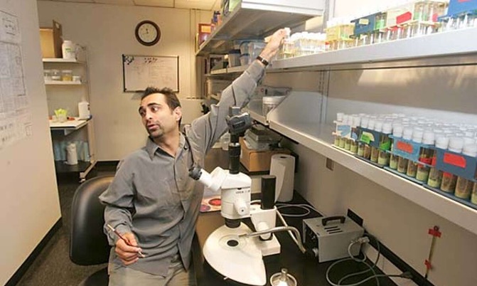 Dr. Pankaj Kapahi