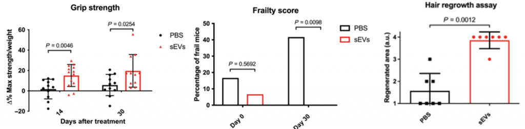 treatment improves grip strength, frailty, and fur regen