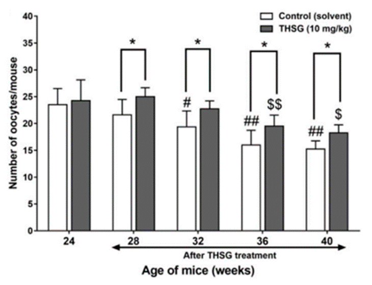 THSG preserves number of oocytes in aged mice.