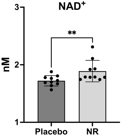 Nicotinamide riboside (NR) increases NAD in vesicles released from neurons
