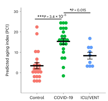 The predicted age of the brain is higher in patients severely affected by COVID-19.