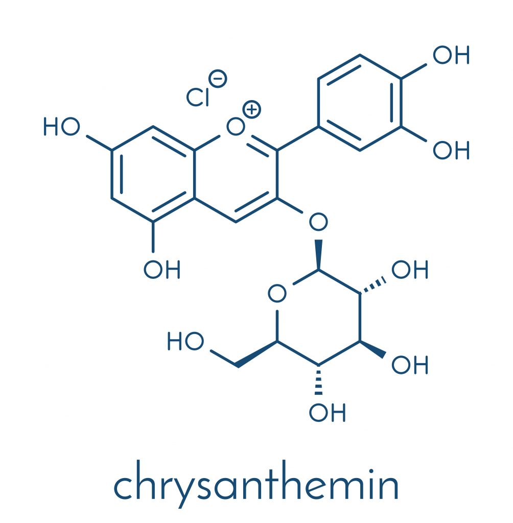 Chrysanthemin's chemical structure (blue)