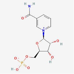 direct NAD precursor, nicotinamide mononucleotide 