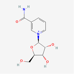 NAD precursor | nicotinamide riboside
