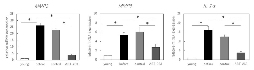 Navitoclax reduces SASP-associated gene activity