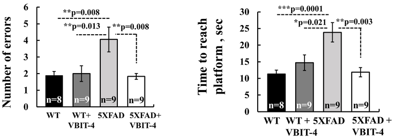 VBIT-4 Prevents Cognitive Dysfunction: Radial Arm Water Maze Test Results. Alzheimer's mice (5XFAD) exhibit increased errors (left) and longer navigation times (right) compared to normal mice (WT), indicating impaired learning and memory. However, treatment with VBIT-4 (5XFAD + VBIT-4) significantly mitigates cognitive dysfunction.