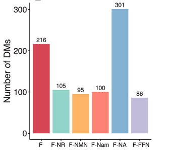 Analysis of metabolic perturbations with different treatments. The number of differential metabolites (DM) was assessed by comparing all measured metabolites across different time points for each group. The group treated with CMA alone (F) and CMA with NA (F-NA) exhibited the highest number of differential metabolites, indicating significant metabolic changes. In contrast, the group treated with CMA with F-FN (F-FFN) had the fewest differential metabolites, suggesting minimal metabolic perturbations.