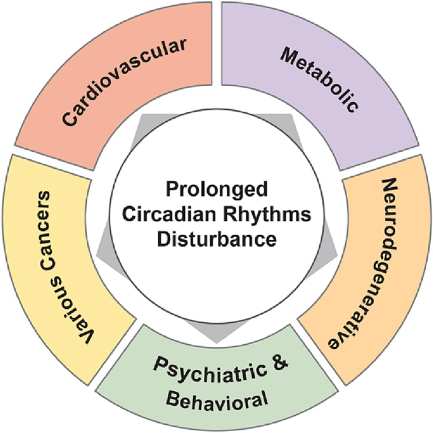 Health Impacts of Dysynchronized Circadian Rhythms. The graphic highlights diseases and conditions linked to disrupted circadian rhythms, including cardiovascular disease, obesity, diabetes, neurodegeneration, cancer, and mental health issues.