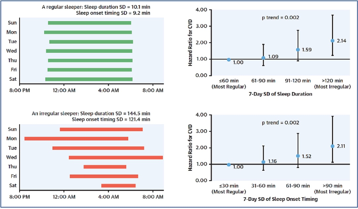 Cardiovascular Risks from Inconsistent Sleep Patterns. The illustration contrasts regular sleep patterns (top, green) with irregular sleep patterns (bottom, red). Irregular sleep, characterized by varying sleep and wake times, is associated with a heightened risk of cardiovascular disease (Hazard Ratio CVD). This risk is depicted in relation to sleep duration (top, right) and sleep onset time (bottom, right).