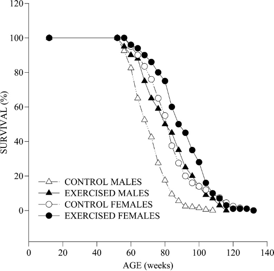 Lifespan Extension in Mice through Exercise. The illustration showcases the impact of moderate treadmill exercise, initiated at 28 weeks of age, on the lifespan of male and female mice. Male mice show a 19% increase in lifespan, while female mice exhibit a 9% increase.