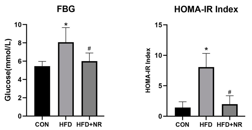 NR Mitigates High Blood Glucose and Insulin Resistance. The graphic contrasts mice on a normal diet (CON) with mice on a high-fat diet (HFD), showing elevated fasting blood glucose levels (left) and insulin resistance (right) in the latter group. Notably, supplementation with NR (HFD+NR) significantly counteracts these indicators associated with type 2 diabetes.