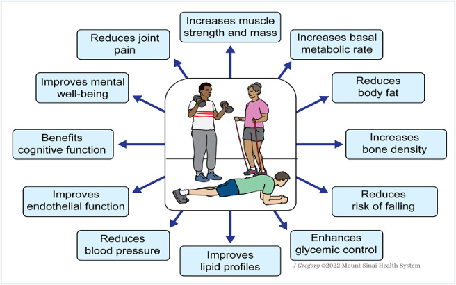 Advantages of Resistance Training. The graphic depicts the positive outcomes associated with resistance training, highlighting its various benefits for muscle strength, metabolism, bone health, and overall fitness.