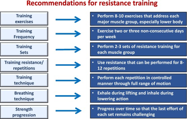  Overview of Resistance Training Program Structure. The visual outlines the fundamental components and structure of a resistance training program, encompassing exercise selection, sets, repetitions, intensity, rest intervals, and progression.