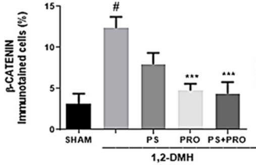 Modulation of Cancer Marker ꞵ-catenin by Probiotics and Pterostilbene. The graphic demonstrates the impact of the carcinogen 1,2-dimethylhydrazine (1,2-DMH) on ꞵ-catenin protein levels, leading to a dramatic increase. However, the introduction of probiotics alone or combined with pterostilbene results in a substantial reduction of ꞵ-catenin levels. While 1,2-DMH significantly elevates ꞵ-catenin (over threefold), probiotics with or without pterostilbene normalize ꞵ-catenin levels toward a near-normal state.
