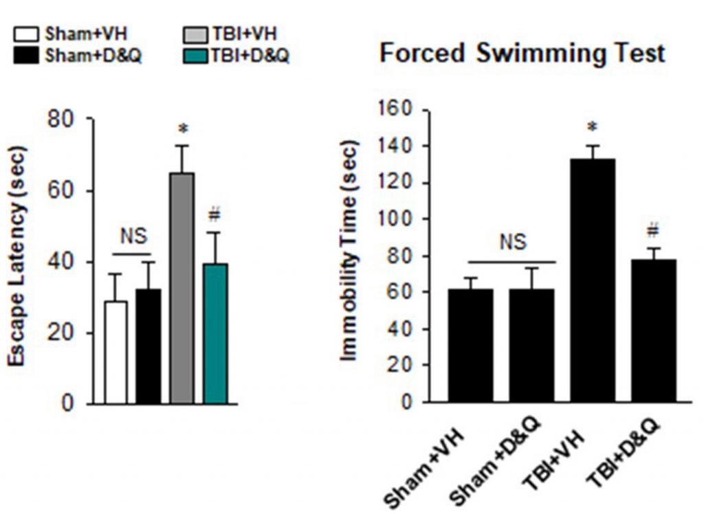 Senolytic Therapy Enhances Memory and Mood: TBI Mice with D+Q Treatment Show Improved Escape Latency and Motivation Compared to TBI+VH Group