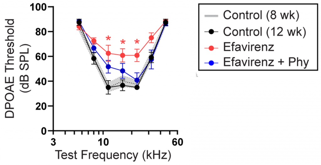 Phytosterols Prevent Hearing Loss. In comparison to mice exposed to efavirenz (red), mice exposed to efavirenz and treated with phytosterols (blue) do not show significant hearing loss and have hearing levels (DPOAE Threshold) similar to those of normal mice (black and gray).