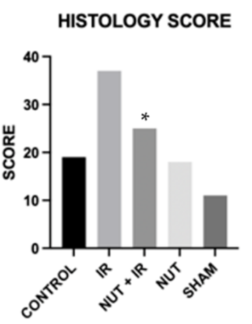 "Liver Tissue Histology Scores: Ischemia-Reperfusion Increases Inflammation, Cell Death, and Fat Accumulation; Nutraceutical Combination (NUT+IR) Reduces Scores Compared to CONTROL, SHAM, and IR Conditions