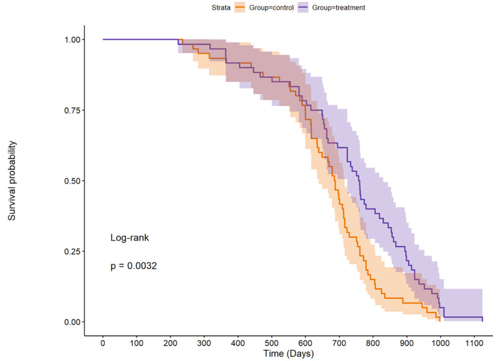 Effect of Ghrelin Pill on Median Lifespan in Male Mice. Blue indicates mice fed with ghrelin, and orange represents control-fed mice. Ghrelin pill intake leads to an increase in the median lifespan of male mice.