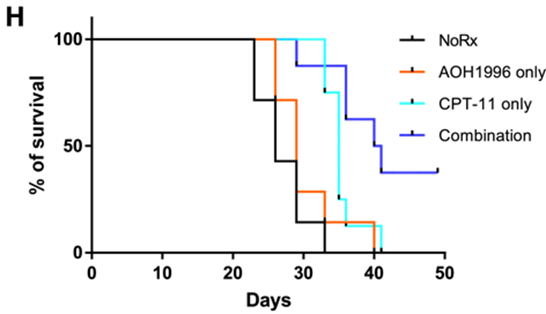 Enhanced Survival in Neuroblastoma Mice with AOH1996 and CPT-11 Combination. Combining AOH1996 with CPT-11 leads to significantly improved survival rates in mice with implanted human neuroblastoma. CPT-11 treatment alone (green line) extends median survival by 34.6%, while AOH1996 combined with CPT-11 (purple line) enhances median survival by 55.4%. AOH1996 treatment alone (orange line) does not confer a notable increase in median survival compared to untreated tumor-bearing mice (black line).
