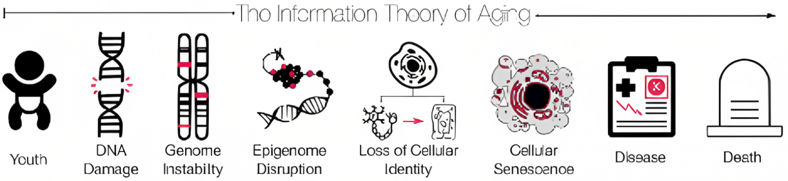 The Emergence of Cellular Reprogramming: True Age Reversal Technology