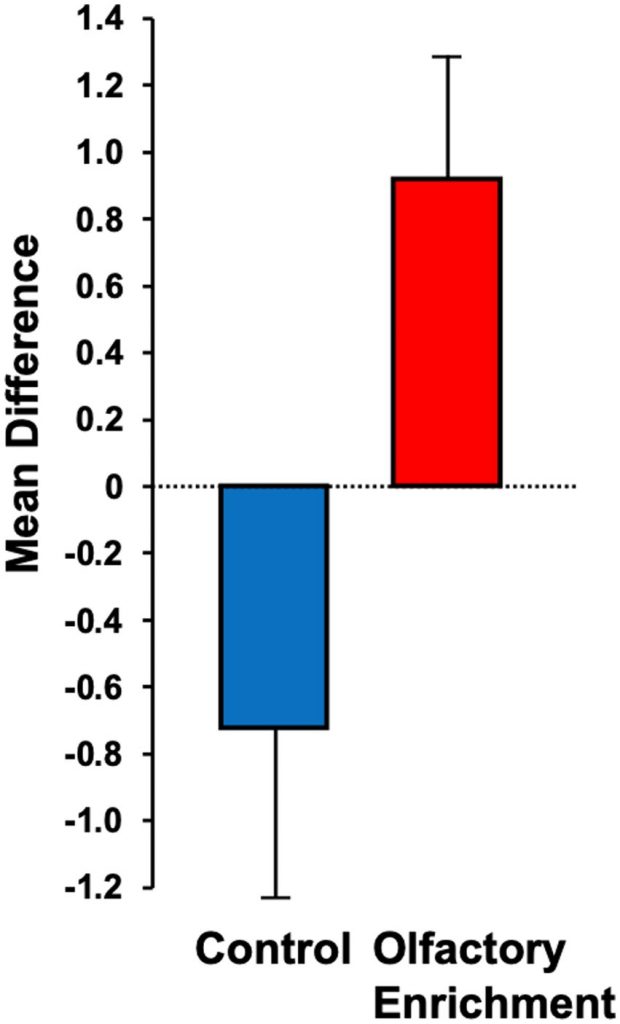 Scented Oils Enhance Learning and Memory. Older adults receiving scented oil treatment (Olfactory enrichment, red) exhibited a remarkable 226% improvement on the Rey Auditory Verbal Learning Test compared to those without treatment (Control, blue), highlighting the positive effect of scented oils on cognitive performance.