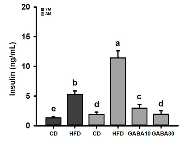 "Comparison of blood insulin levels in young and aged mice on high-fat diet vs. control diet, with and without GABA supplementation. Dark gray bars represent young mice (YM), and light gray bars represent aged mice (AM). Young and aged mice on a high-fat diet (HFD) show increased blood insulin compared to a normal diet (CD: control diet). However, 10 mg/kg GABA (GABA10) or 30 mg/kg GABA (GABA30) prevents this insulin increase, indicating potential prevention of insulin resistance, a key risk factor for type II diabetes.