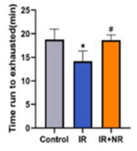 NR revamped physical function as shown with increased running times to exhaustion following ionizing radiation. Time ran before exhaustion declined following ionizing radiation (IR) compared to healthy mice (Control), but NR (IR+NR) restored this time.