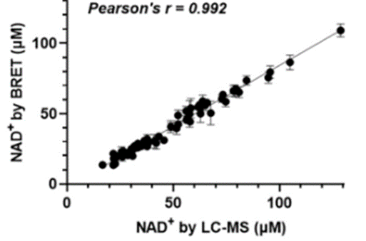 Here is a graph showing the levels of something called 'NAD+' in people's blood. The dots on the graph show the measurements from a special method called 'BRET' (on the up-and-down line) and another method called 'LC-MS' (on the left-and-right line). When the dots make a line that goes up and down and left and right, it means the two methods gave almost the same numbers. The number that tells us how close they are is really big, which means they are almost exactly the same!