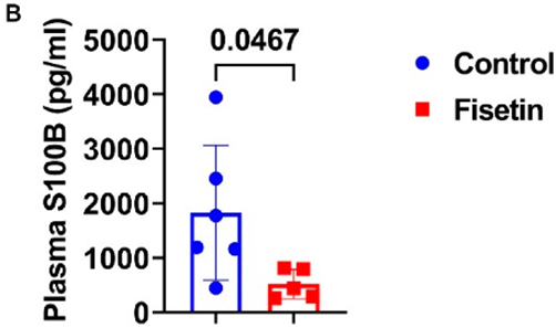 Fisetin's impact on the blood protein marker for age-related nervous system injury, S100B. Fisetin treatment (red bar) significantly reduces blood levels of the S100B protein marker associated with brain and nervous system injury, by more than half.