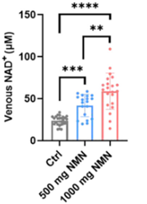 This picture shows how a medicine called 'NMN' can help our bodies have more of something called 'NAD+' in our blood. When people take 500 mg of NMN, it makes their NAD+ almost twice as much as before (the gray bar). And when they take 1,000 mg (the red bar), it makes the NAD+ even more, about 30% more than when they took 500 mg (the blue bar). So, NMN can help people have more NAD+ in their blood after taking it for 30 days.