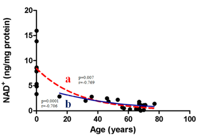 Measurement of NAD+ levels in skin samples across various age groups, from newborns to adults up to the age of 77, indicating age-dependent NAD+ decline.