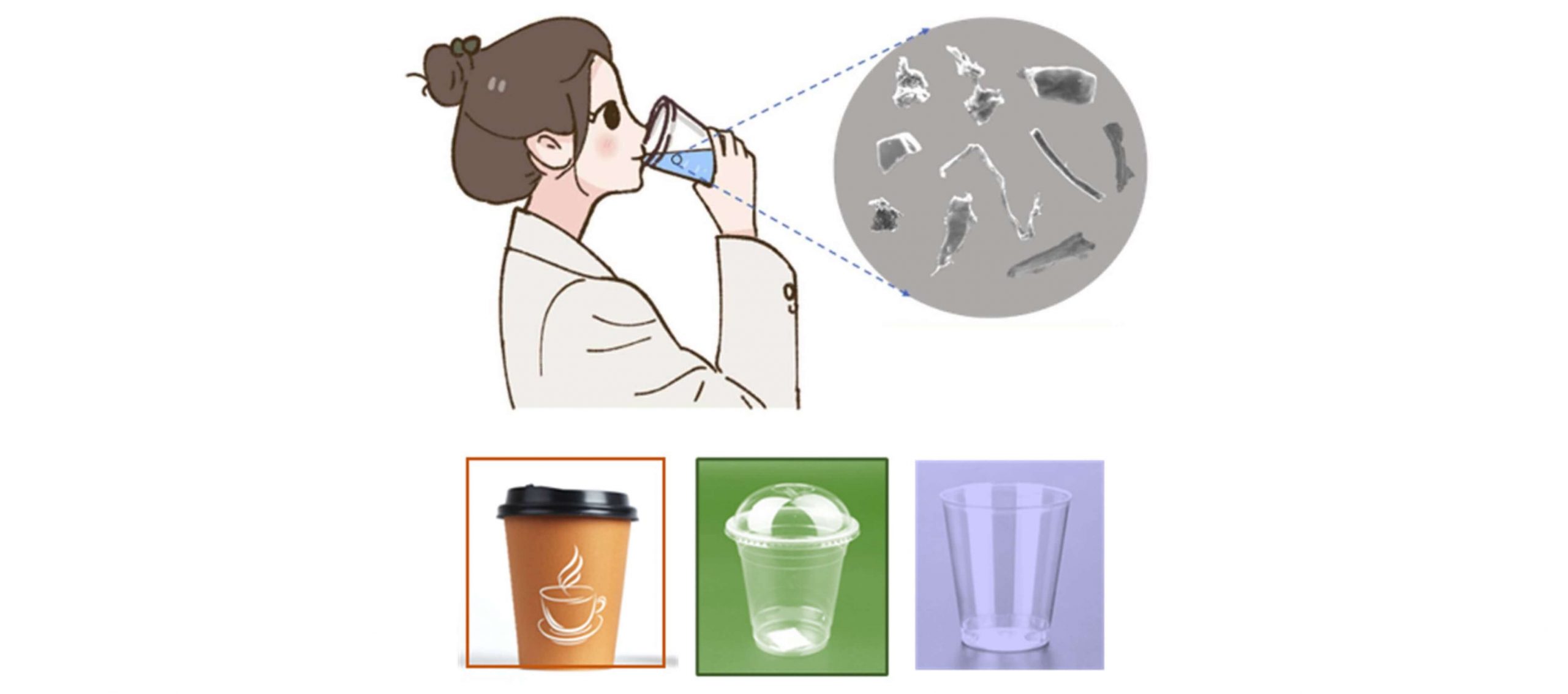 Drinking from disposable plastic-containing cups is like drinking microplastics.