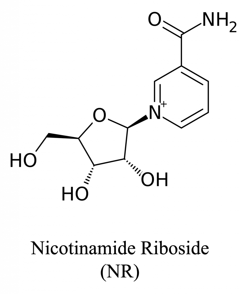 The chemical structure of nicotinamide riboside (N.R.). 