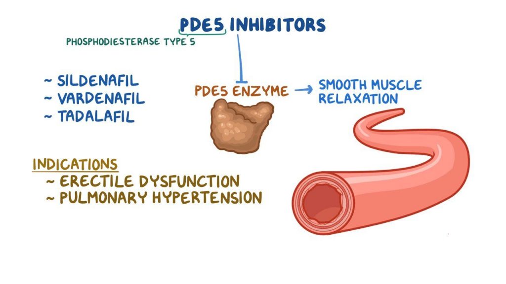 A diagram showing a P.D.E.5 enzyme and a blood vessel. 
