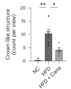 Canagliflozin substantially reduced fat tissue inflammation.