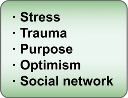 Some of the psychological factors influencing psychogenic aging include stress, trauma, purpose, optimism, and social networking.