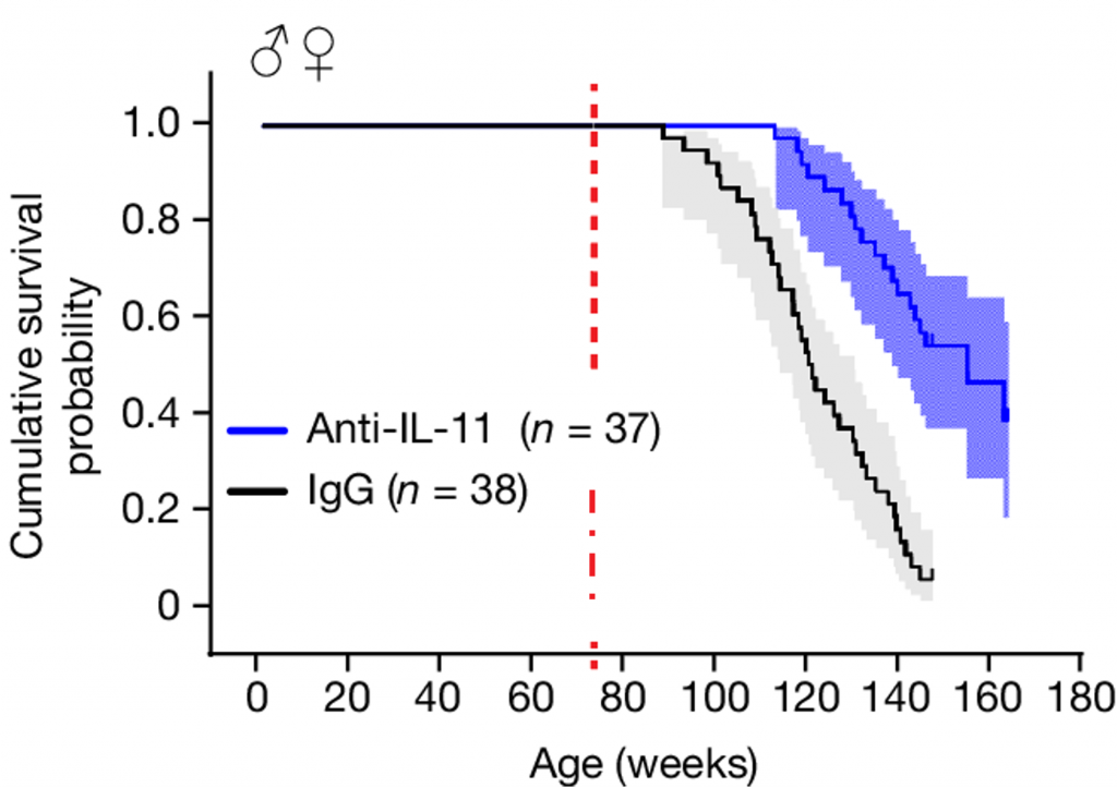 A survival curve graph from the original study. 