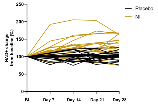 The nutraceutical targeting multiple enzymes related to NAD+ biosynthesis and breakdown significantly increased blood NAD+.